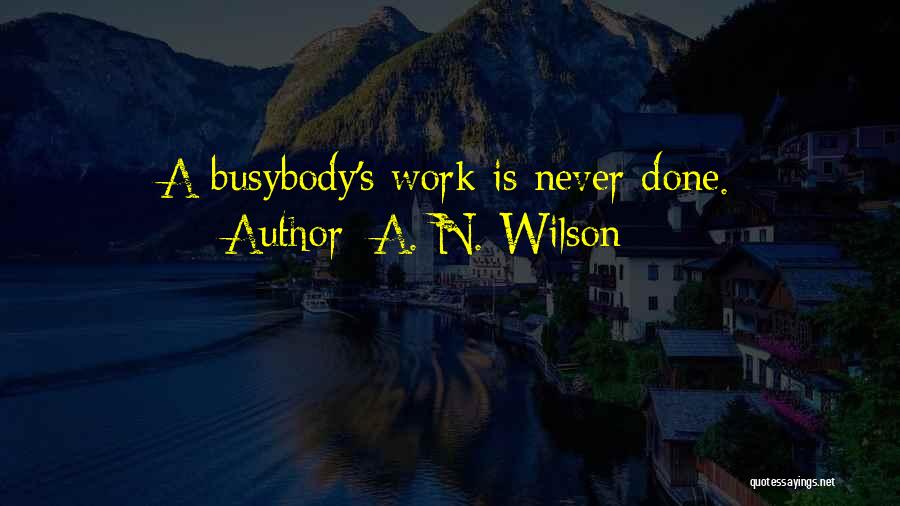 A. N. Wilson Quotes: A Busybody's Work Is Never Done.