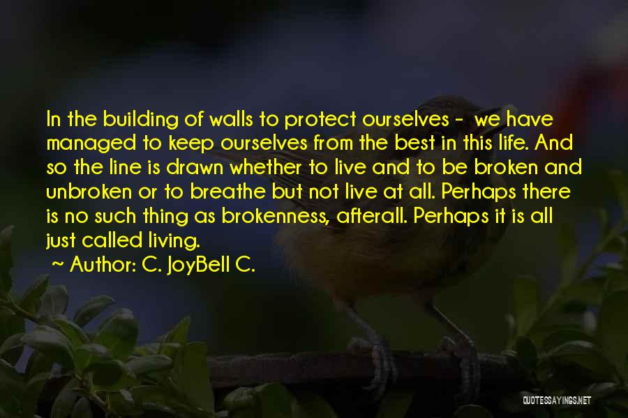 C. JoyBell C. Quotes: In The Building Of Walls To Protect Ourselves - We Have Managed To Keep Ourselves From The Best In This