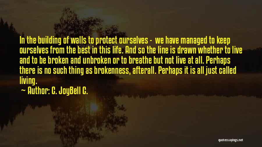 C. JoyBell C. Quotes: In The Building Of Walls To Protect Ourselves - We Have Managed To Keep Ourselves From The Best In This