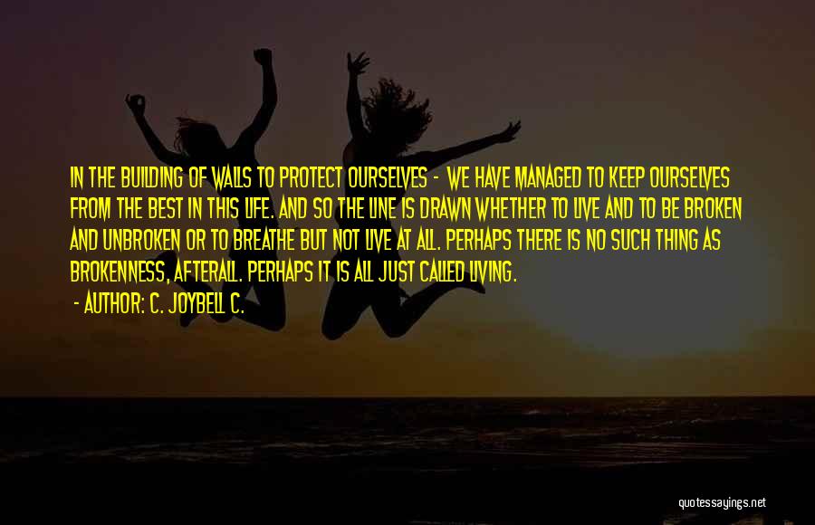 C. JoyBell C. Quotes: In The Building Of Walls To Protect Ourselves - We Have Managed To Keep Ourselves From The Best In This