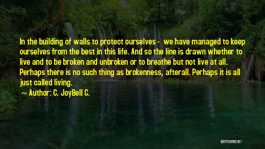 C. JoyBell C. Quotes: In The Building Of Walls To Protect Ourselves - We Have Managed To Keep Ourselves From The Best In This