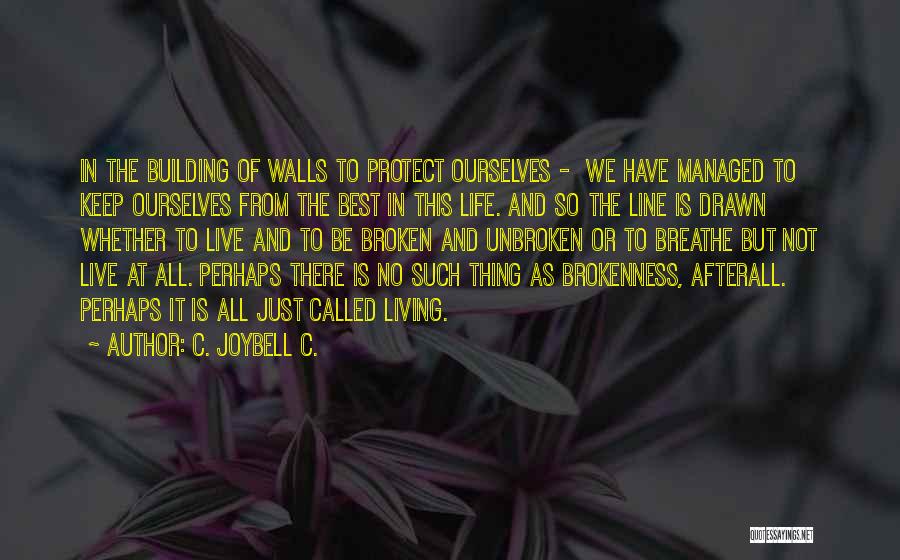 C. JoyBell C. Quotes: In The Building Of Walls To Protect Ourselves - We Have Managed To Keep Ourselves From The Best In This