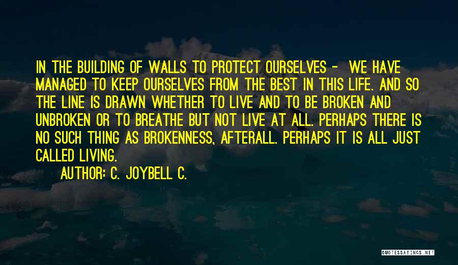 C. JoyBell C. Quotes: In The Building Of Walls To Protect Ourselves - We Have Managed To Keep Ourselves From The Best In This