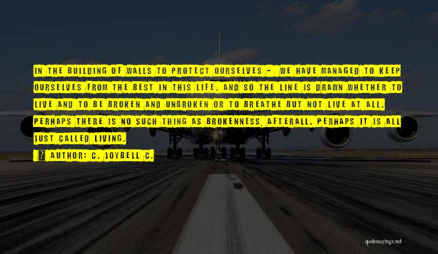 C. JoyBell C. Quotes: In The Building Of Walls To Protect Ourselves - We Have Managed To Keep Ourselves From The Best In This