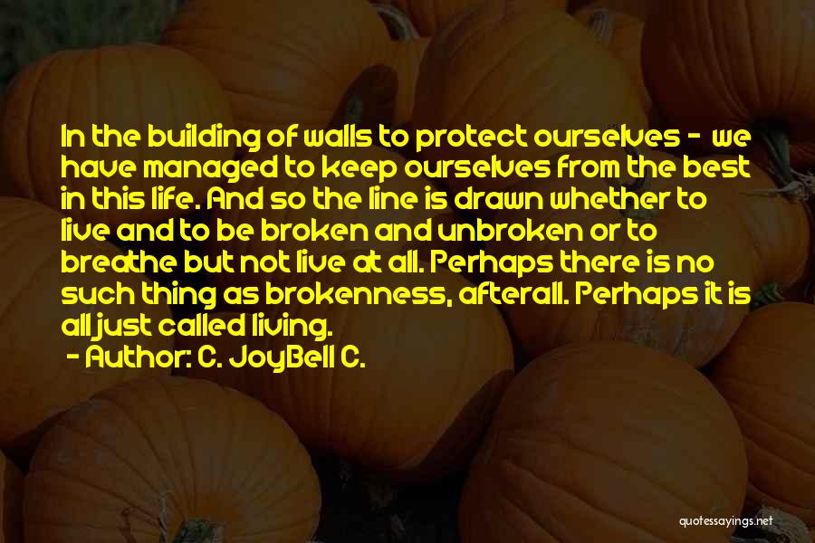 C. JoyBell C. Quotes: In The Building Of Walls To Protect Ourselves - We Have Managed To Keep Ourselves From The Best In This