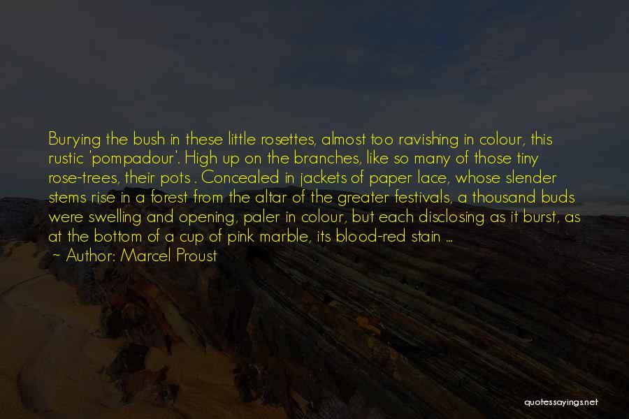 Marcel Proust Quotes: Burying The Bush In These Little Rosettes, Almost Too Ravishing In Colour, This Rustic 'pompadour'. High Up On The Branches,