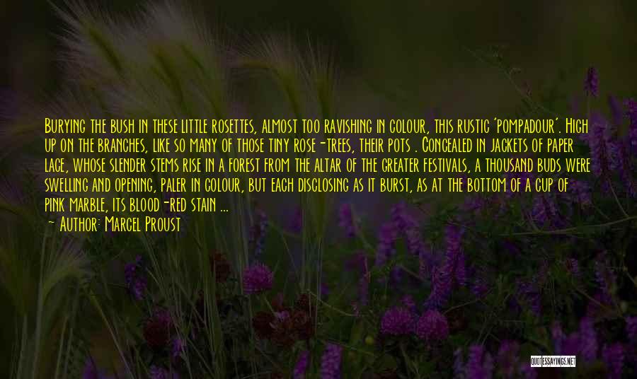 Marcel Proust Quotes: Burying The Bush In These Little Rosettes, Almost Too Ravishing In Colour, This Rustic 'pompadour'. High Up On The Branches,