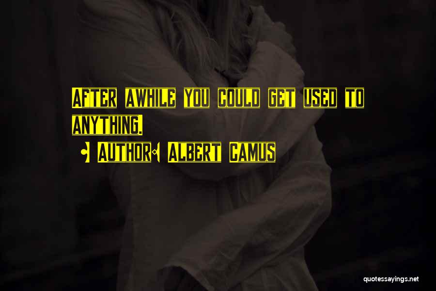 Albert Camus Quotes: After Awhile You Could Get Used To Anything.