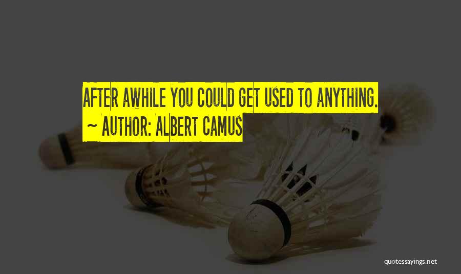 Albert Camus Quotes: After Awhile You Could Get Used To Anything.