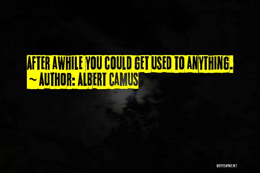 Albert Camus Quotes: After Awhile You Could Get Used To Anything.