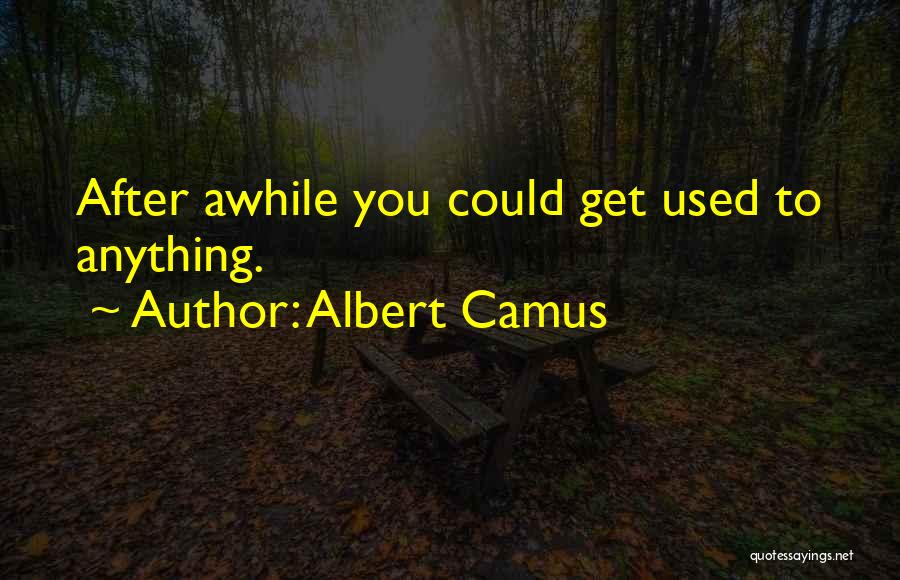 Albert Camus Quotes: After Awhile You Could Get Used To Anything.