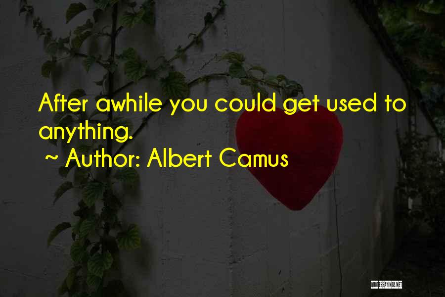 Albert Camus Quotes: After Awhile You Could Get Used To Anything.