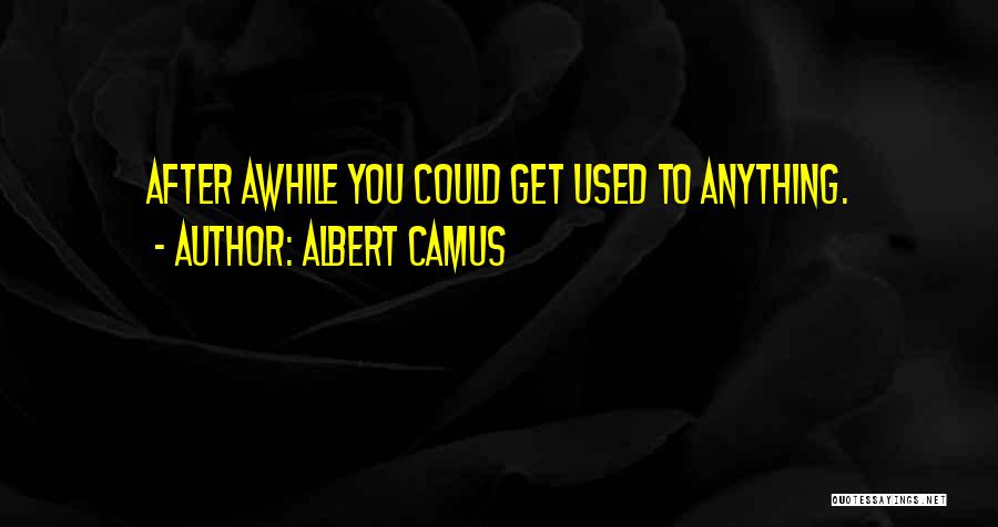 Albert Camus Quotes: After Awhile You Could Get Used To Anything.