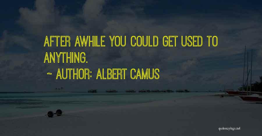 Albert Camus Quotes: After Awhile You Could Get Used To Anything.