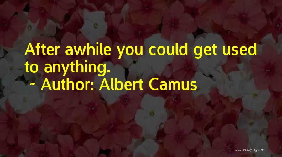 Albert Camus Quotes: After Awhile You Could Get Used To Anything.