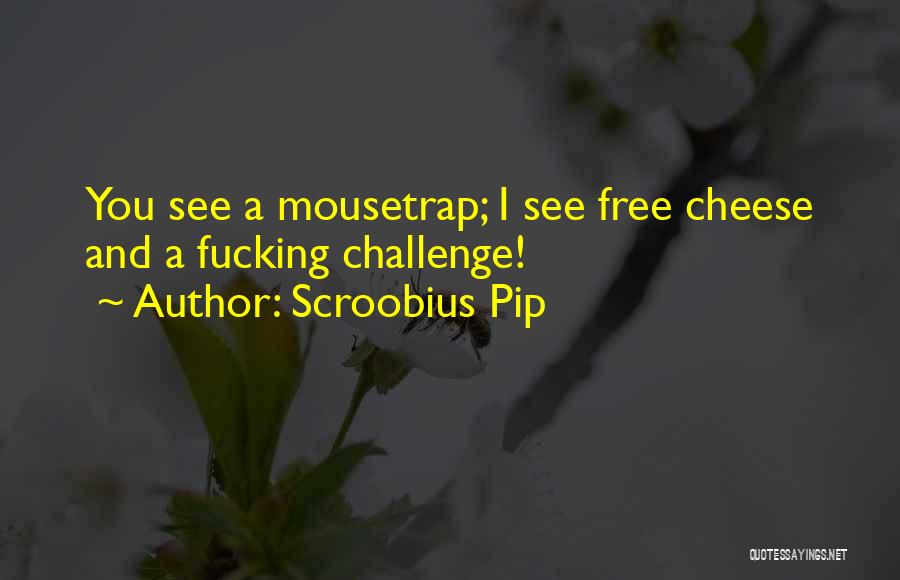 Scroobius Pip Quotes: You See A Mousetrap; I See Free Cheese And A Fucking Challenge!
