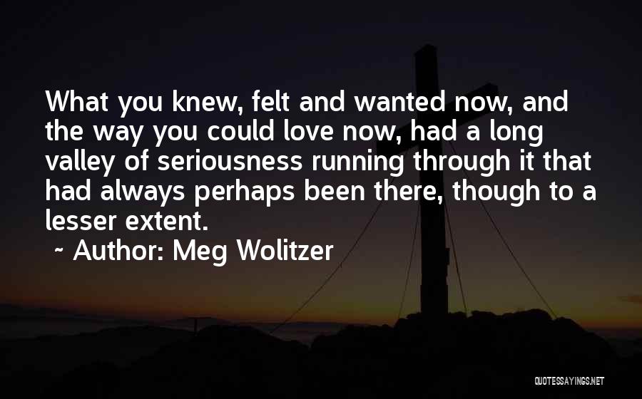 Meg Wolitzer Quotes: What You Knew, Felt And Wanted Now, And The Way You Could Love Now, Had A Long Valley Of Seriousness