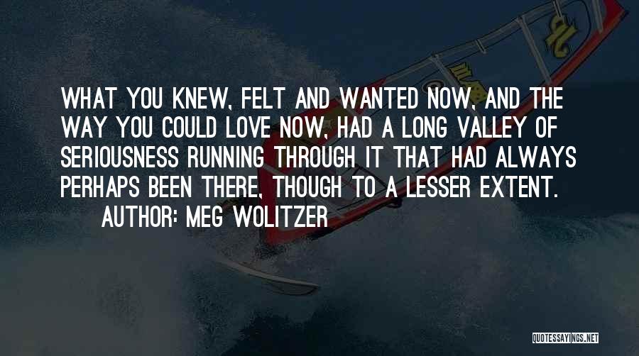 Meg Wolitzer Quotes: What You Knew, Felt And Wanted Now, And The Way You Could Love Now, Had A Long Valley Of Seriousness