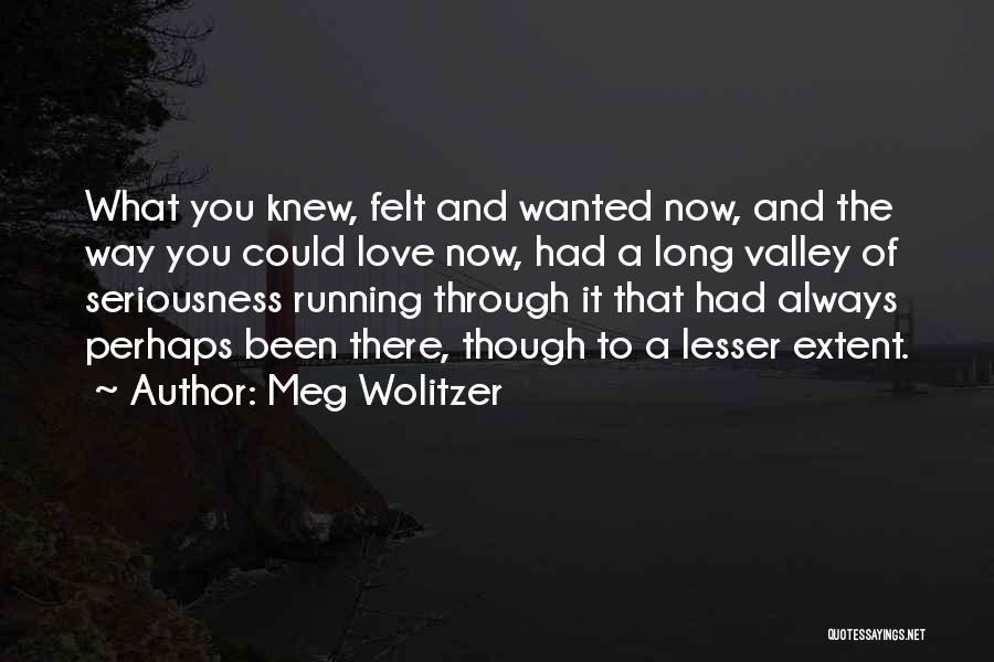 Meg Wolitzer Quotes: What You Knew, Felt And Wanted Now, And The Way You Could Love Now, Had A Long Valley Of Seriousness