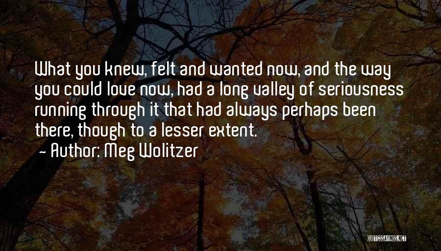 Meg Wolitzer Quotes: What You Knew, Felt And Wanted Now, And The Way You Could Love Now, Had A Long Valley Of Seriousness