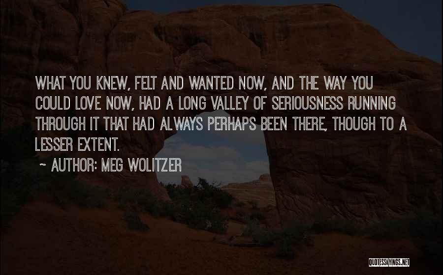 Meg Wolitzer Quotes: What You Knew, Felt And Wanted Now, And The Way You Could Love Now, Had A Long Valley Of Seriousness