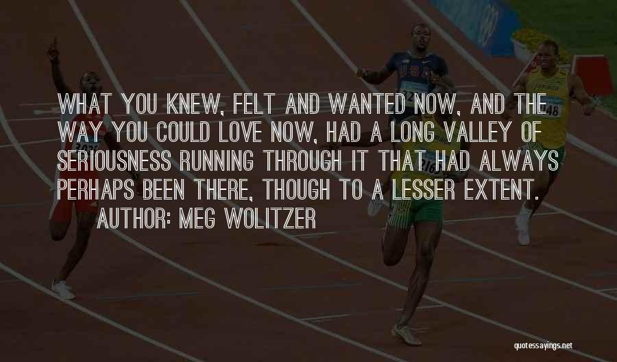 Meg Wolitzer Quotes: What You Knew, Felt And Wanted Now, And The Way You Could Love Now, Had A Long Valley Of Seriousness