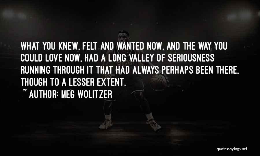 Meg Wolitzer Quotes: What You Knew, Felt And Wanted Now, And The Way You Could Love Now, Had A Long Valley Of Seriousness