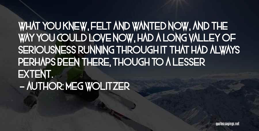 Meg Wolitzer Quotes: What You Knew, Felt And Wanted Now, And The Way You Could Love Now, Had A Long Valley Of Seriousness