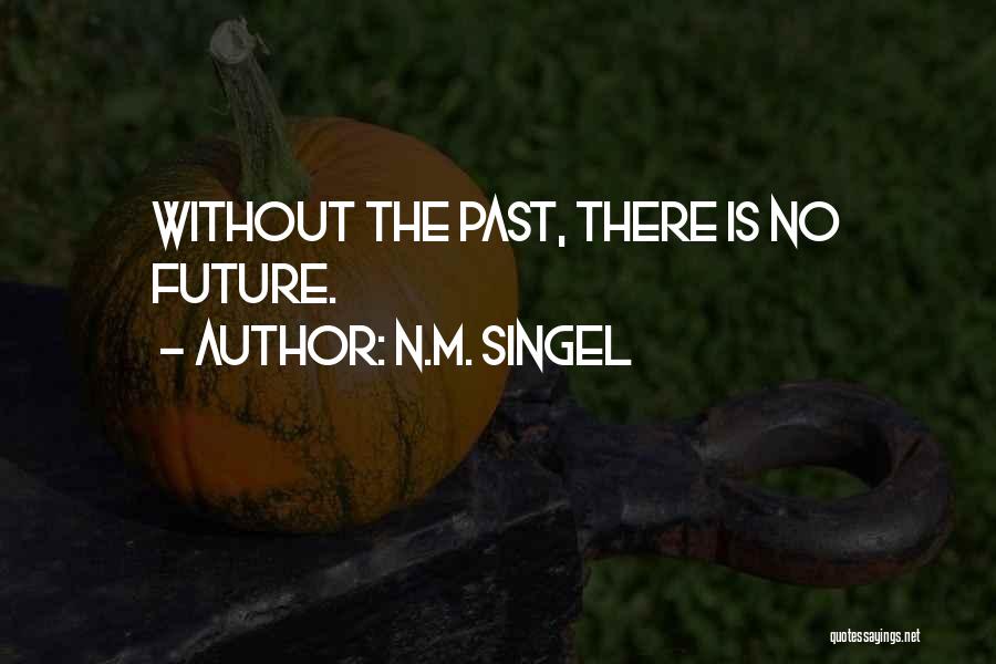 N.M. Singel Quotes: Without The Past, There Is No Future.