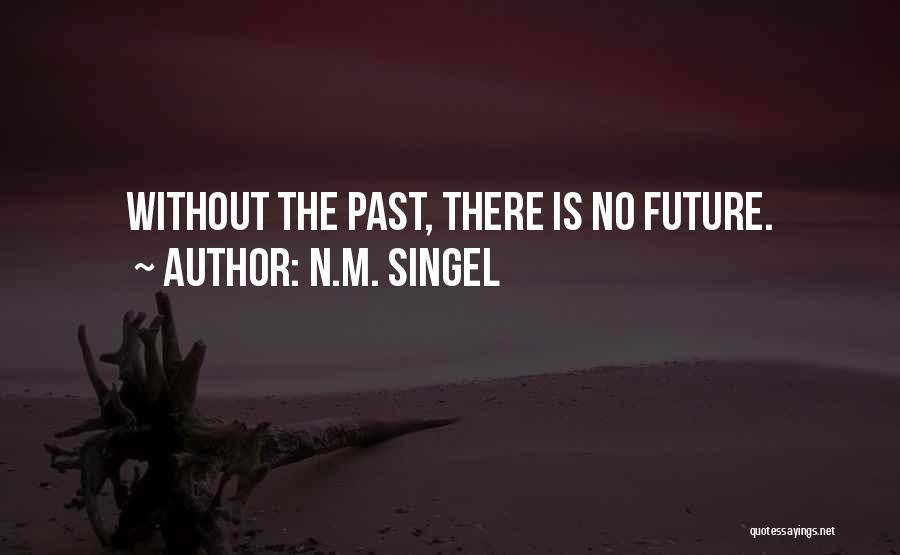 N.M. Singel Quotes: Without The Past, There Is No Future.