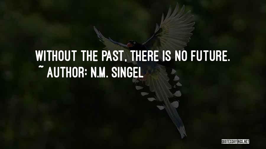 N.M. Singel Quotes: Without The Past, There Is No Future.