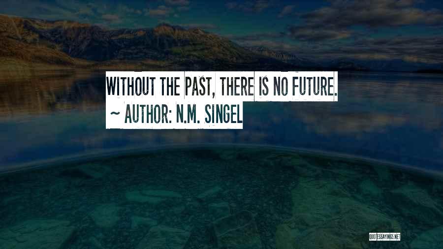 N.M. Singel Quotes: Without The Past, There Is No Future.