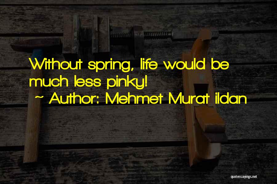 Mehmet Murat Ildan Quotes: Without Spring, Life Would Be Much Less Pinky!