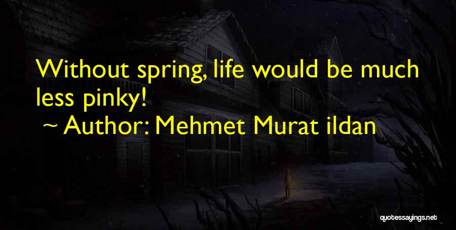 Mehmet Murat Ildan Quotes: Without Spring, Life Would Be Much Less Pinky!