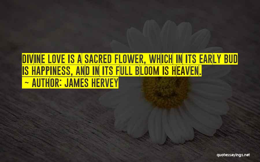 James Hervey Quotes: Divine Love Is A Sacred Flower, Which In Its Early Bud Is Happiness, And In Its Full Bloom Is Heaven.