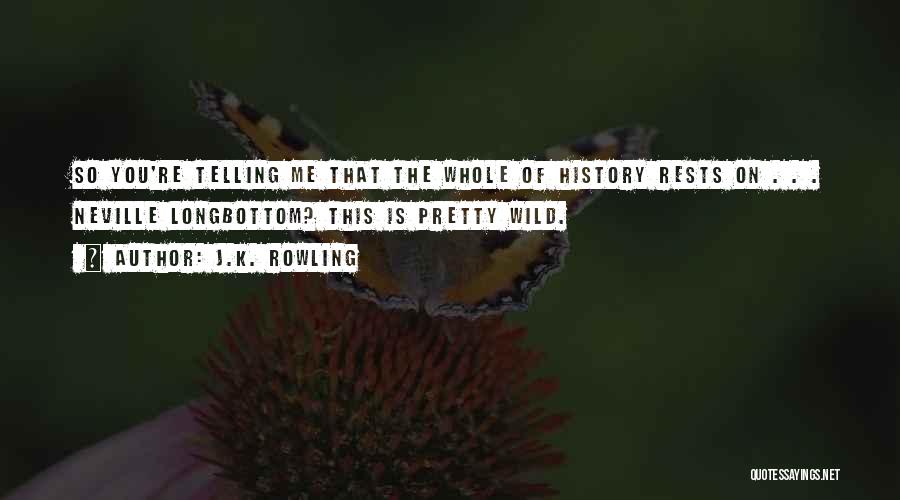 J.K. Rowling Quotes: So You're Telling Me That The Whole Of History Rests On . . . Neville Longbottom? This Is Pretty Wild.