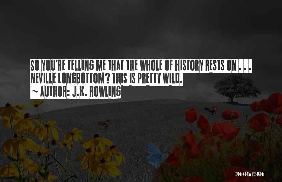 J.K. Rowling Quotes: So You're Telling Me That The Whole Of History Rests On . . . Neville Longbottom? This Is Pretty Wild.