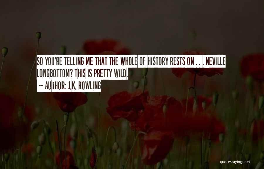 J.K. Rowling Quotes: So You're Telling Me That The Whole Of History Rests On . . . Neville Longbottom? This Is Pretty Wild.