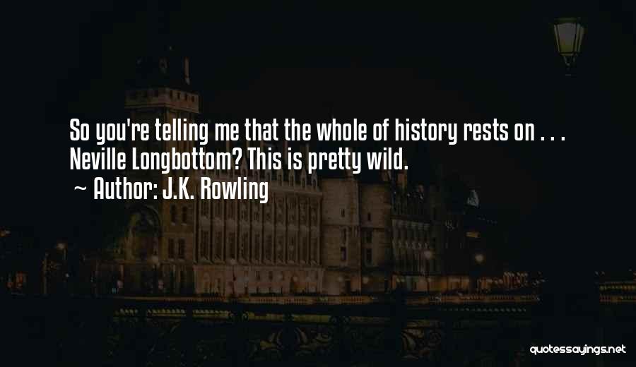 J.K. Rowling Quotes: So You're Telling Me That The Whole Of History Rests On . . . Neville Longbottom? This Is Pretty Wild.