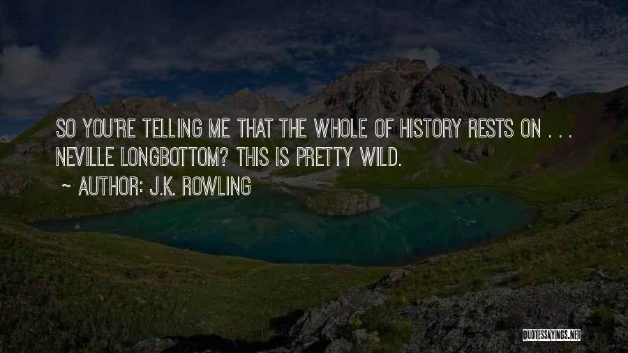 J.K. Rowling Quotes: So You're Telling Me That The Whole Of History Rests On . . . Neville Longbottom? This Is Pretty Wild.