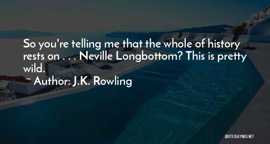 J.K. Rowling Quotes: So You're Telling Me That The Whole Of History Rests On . . . Neville Longbottom? This Is Pretty Wild.