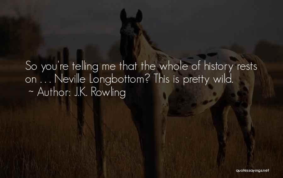 J.K. Rowling Quotes: So You're Telling Me That The Whole Of History Rests On . . . Neville Longbottom? This Is Pretty Wild.