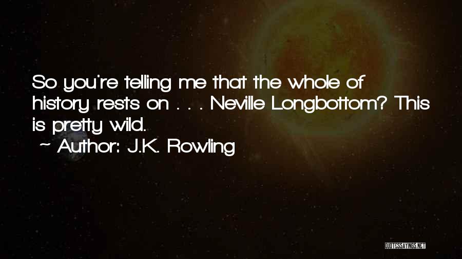 J.K. Rowling Quotes: So You're Telling Me That The Whole Of History Rests On . . . Neville Longbottom? This Is Pretty Wild.