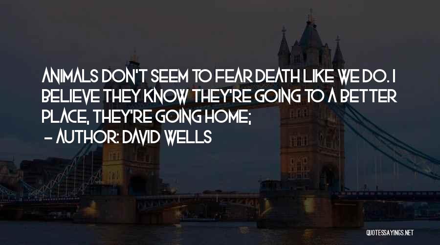 David Wells Quotes: Animals Don't Seem To Fear Death Like We Do. I Believe They Know They're Going To A Better Place, They're