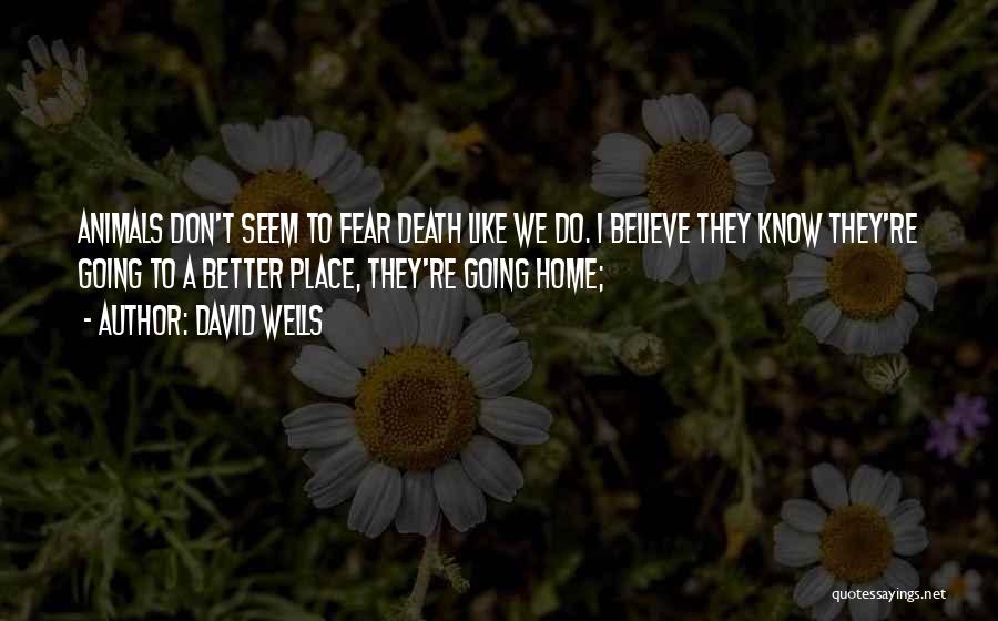 David Wells Quotes: Animals Don't Seem To Fear Death Like We Do. I Believe They Know They're Going To A Better Place, They're