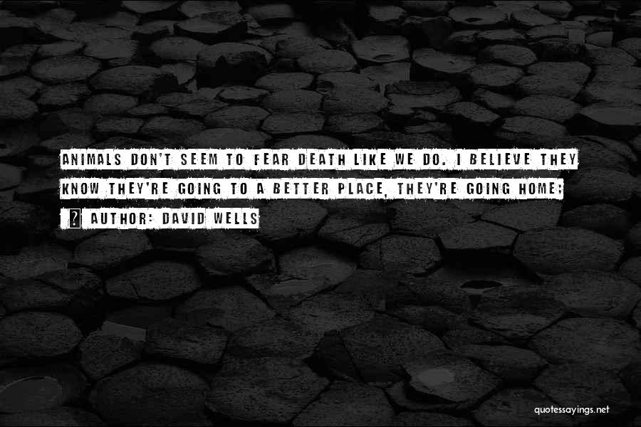 David Wells Quotes: Animals Don't Seem To Fear Death Like We Do. I Believe They Know They're Going To A Better Place, They're