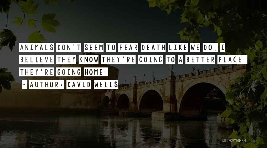 David Wells Quotes: Animals Don't Seem To Fear Death Like We Do. I Believe They Know They're Going To A Better Place, They're