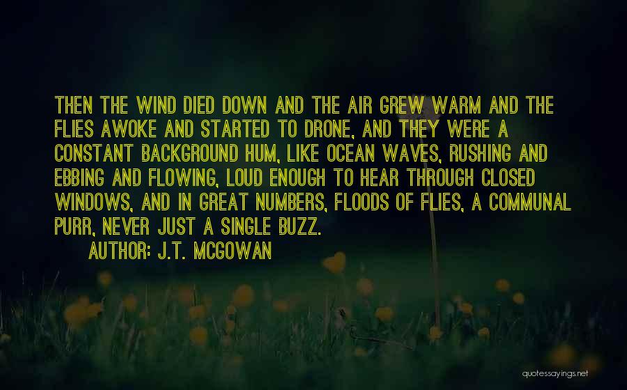 J.T. McGowan Quotes: Then The Wind Died Down And The Air Grew Warm And The Flies Awoke And Started To Drone, And They