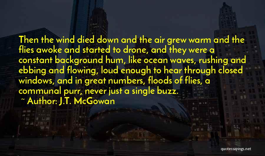 J.T. McGowan Quotes: Then The Wind Died Down And The Air Grew Warm And The Flies Awoke And Started To Drone, And They