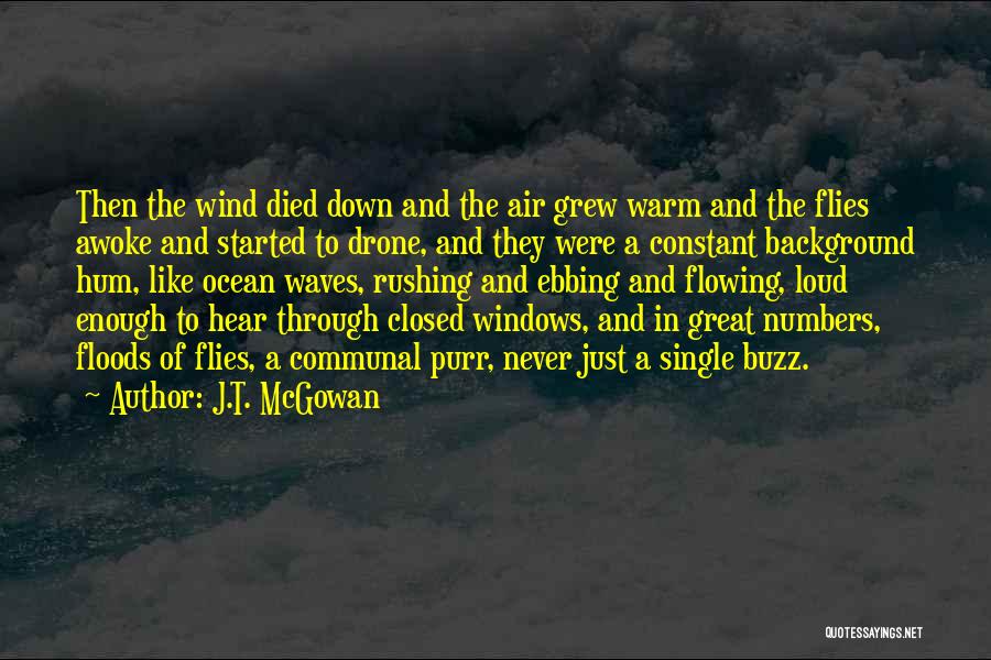 J.T. McGowan Quotes: Then The Wind Died Down And The Air Grew Warm And The Flies Awoke And Started To Drone, And They